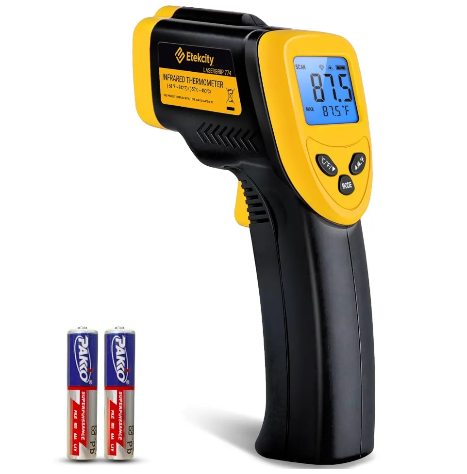 Taxidermy Spider, Real Spider Specimens Animal Specimen in Resin for Science Classroom Science Education, Great Gift for Fans of Taxidermy, Animal Skull, Oddities, Biology (5.5x2.5x0.7 Inch)