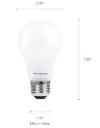 ECO LED A19 Light Bulb